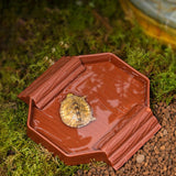 Maxbell Turtle Bathing Pool with Double Ladder Reptile Water Dish for Bearded Dragon Dark Red