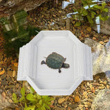 Maxbell Turtle Bathing Pool with Double Ladder Reptile Water Dish for Bearded Dragon Marble White