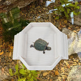 Maxbell Turtle Bathing Pool with Double Ladder Reptile Water Dish for Bearded Dragon White