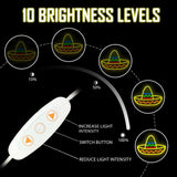 Maxbell Neon Sign Wall Art Lamp Lighting Neon Light Sign for Gaming Room Salon Party