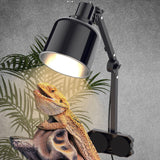 Maxbell Light Holder Stand Single Head for Box Invertebrates Vivarium Dome Lampshade