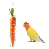 Maxbell Stainless Steel Parrots Feeder Basket Hollow Design Sturdy Bird Foraging Toy