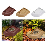 Maxbell Reptile Bathing Pool Aquarium Habitat Accessories Tortoise Feeder for Turtle Brownish Red