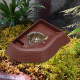 Maxbell Reptile Bathing Pool Aquarium Habitat Accessories Tortoise Feeder for Turtle Brownish Red