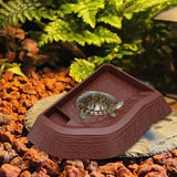 Maxbell Reptile Bathing Pool Aquarium Habitat Accessories Tortoise Feeder for Turtle Brownish Red