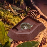 Maxbell Reptile Bathing Pool Aquarium Habitat Accessories Tortoise Feeder for Turtle Brownish Red