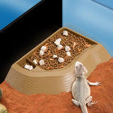 Maxbell Reptile Bathing Pool Aquarium Habitat Accessories Tortoise Feeder for Turtle Brownish Yellow