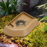 Maxbell Reptile Bathing Pool Aquarium Habitat Accessories Tortoise Feeder for Turtle Brownish Yellow