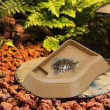 Maxbell Reptile Bathing Pool Aquarium Habitat Accessories Tortoise Feeder for Turtle Brownish Yellow