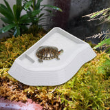 Maxbell Reptile Bathing Pool Aquarium Habitat Accessories Tortoise Feeder for Turtle White