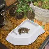 Maxbell Reptile Bathing Pool Aquarium Habitat Accessories Tortoise Feeder for Turtle White