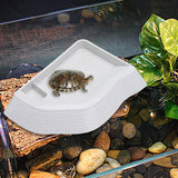 Maxbell Reptile Bathing Pool Aquarium Habitat Accessories Tortoise Feeder for Turtle White