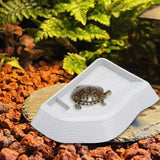 Maxbell Reptile Bathing Pool Aquarium Habitat Accessories Tortoise Feeder for Turtle White