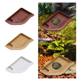 Maxbell Reptile Water Dish with Ramp Landscape Reptile Bathing Pool for Lizard Snake Brownish Red