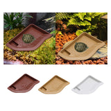 Maxbell Reptile Water Dish with Ramp Landscape Reptile Bathing Pool for Lizard Snake Brownish Red
