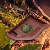 Maxbell Reptile Water Dish with Ramp Landscape Reptile Bathing Pool for Lizard Snake Brownish Red