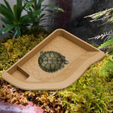 Maxbell Reptile Water Dish with Ramp Landscape Reptile Bathing Pool for Lizard Snake Brownish Yellow