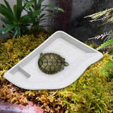 Maxbell Reptile Water Dish with Ramp Landscape Reptile Bathing Pool for Lizard Snake White