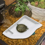 Maxbell Reptile Water Dish with Ramp Landscape Reptile Bathing Pool for Lizard Snake White