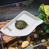 Maxbell Reptile Water Dish with Ramp Landscape Reptile Bathing Pool for Lizard Snake White
