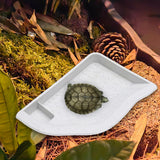Maxbell Reptile Water Dish with Ramp Landscape Reptile Bathing Pool for Lizard Snake White