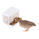Maxbell Chick Feeder Chicken Food Container Large No Waste for Poultry Quail Chicken