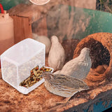 Maxbell Chick Feeder Chicken Food Container Large No Waste for Poultry Quail Chicken