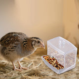 Maxbell Chick Feeder Chicken Food Container Large No Waste for Poultry Quail Chicken