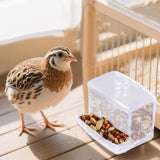 Maxbell Chick Feeder Chicken Food Container Large No Waste for Poultry Quail Chicken