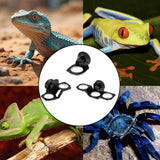 Maxbell Reptile Feeder with Suction Cup Convenient Feeding Cup for Frog Gecko 6.3x8x8cm