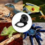 Maxbell Reptile Feeder with Suction Cup Convenient Feeding Cup for Frog Gecko 6.3x8x8cm