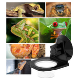 Maxbell Reptile Feeder with Suction Cup Convenient Feeding Cup for Frog Gecko 6.3x8x8cm