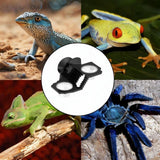 Maxbell Reptile Feeder with Suction Cup Convenient Feeding Cup for Frog Gecko 14.5x7x8cm