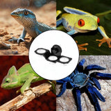 Maxbell Reptile Feeder with Suction Cup Convenient Feeding Cup for Frog Gecko 19x6.1x8cm