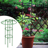 Maxbell Garden Obelisk Trellis Sturdy Flower Stand for Roses Climbing Plants Flowers 70cm 1 umbrella