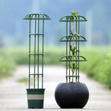 Maxbell Garden Obelisk Trellis Sturdy Flower Stand for Roses Climbing Plants Flowers 130cm 1 umbrella