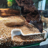 Maxbell Aquarium Underground Tunnel Corner for Corydora Catfish Shrimp Breeding Cave White