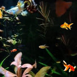 Maxbell Fish Tank Backdrop Wallpaper Black Privacy Film for Hotel Glass Sleeping 30cmx100cm