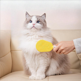 Maxbell 2 Pieces Pet Grooming Combs Portable Supplies Massaging Tool Dog Cat Brushes