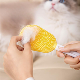 Maxbell 2 Pieces Pet Grooming Combs Portable Supplies Massaging Tool Dog Cat Brushes