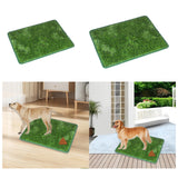 Maxbell Grass Mat for Dogs Training Rug Professional Doormat for Pets Training M