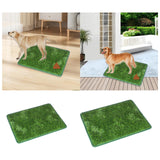 Maxbell Grass Mat for Dogs Training Rug Professional Doormat for Pets Training M