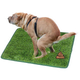 Maxbell Grass Mat for Dogs Training Rug Professional Doormat for Pets Training M