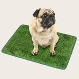 Maxbell Grass Mat for Dogs Training Rug Professional Doormat for Pets Training L