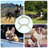 Maxbell Dog Cooling Collar Neck Cooling Tube for for Hot Weather Small to Large Dogs S blueyellow