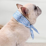 Maxbell Dog Cooling Collar Neck Cooling Tube for for Hot Weather Small to Large Dogs S blue