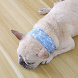 Maxbell Dog Cooling Collar Neck Cooling Tube for for Hot Weather Small to Large Dogs M blue