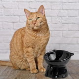 Maxbell Raised Cat Bowl Minimalist Anti Slip Elevated Cat Bowl for Small Medium Dogs Black