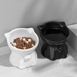 Maxbell Raised Cat Bowl Minimalist Anti Slip Elevated Cat Bowl for Small Medium Dogs White