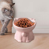 Maxbell Raised Cat Bowl Minimalist Anti Slip Elevated Cat Bowl for Small Medium Dogs Pink